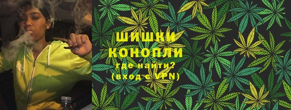 ГАЛЛЮЦИНОГЕННЫЕ ГРИБЫ Балахна