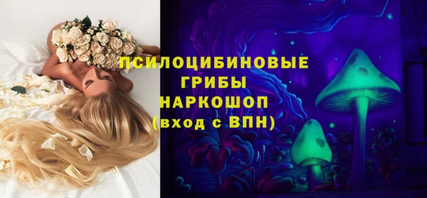 спайс Белокуриха
