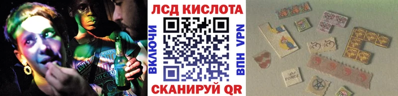 Наркотические марки 1500мкг  даркнет сайт  Кыштым 