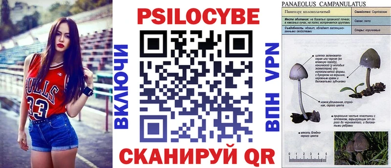 Псилоцибиновые грибы MAGIC MUSHROOMS Кыштым